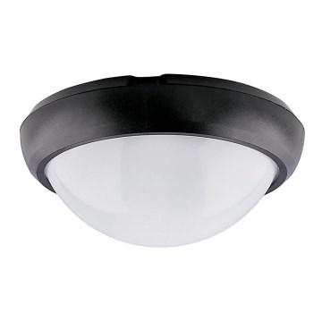 LED Outdoor ceiling light LED/12W/230V IP54