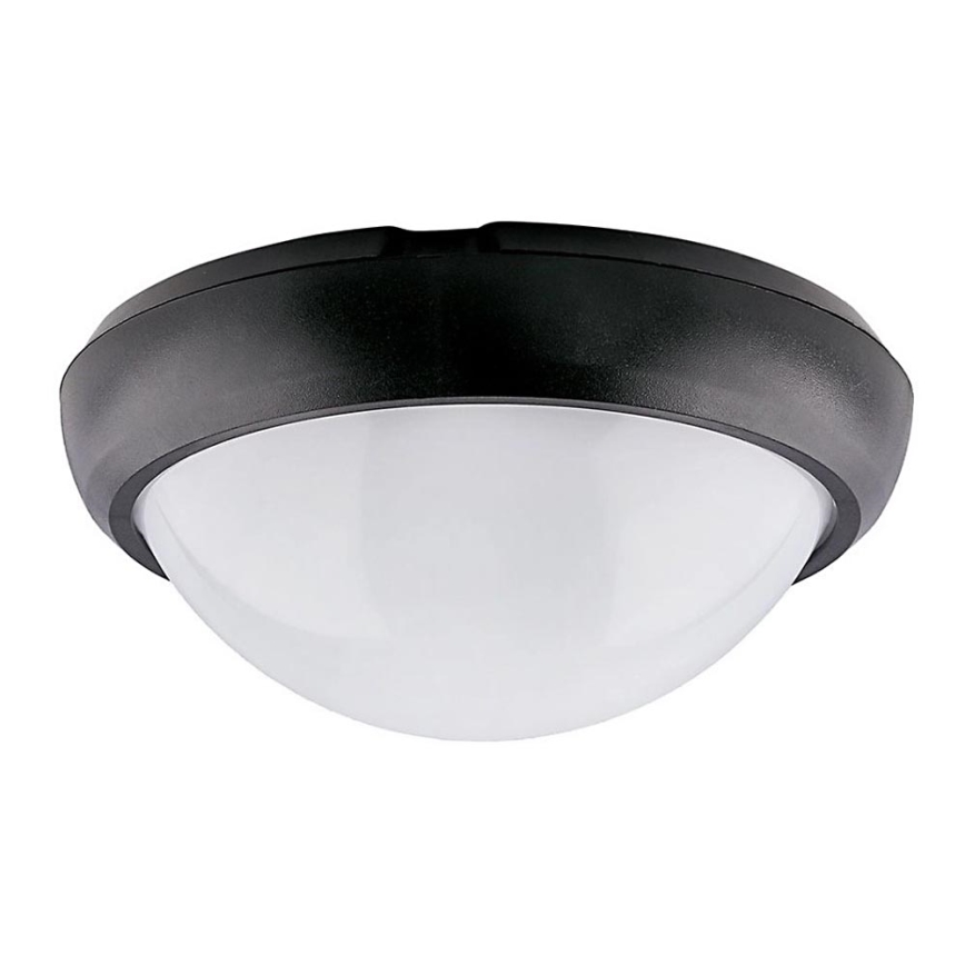 LED Outdoor ceiling light LED/12W/230V IP54