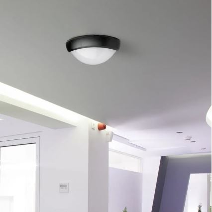 LED Outdoor ceiling light LED/12W/230V IP54