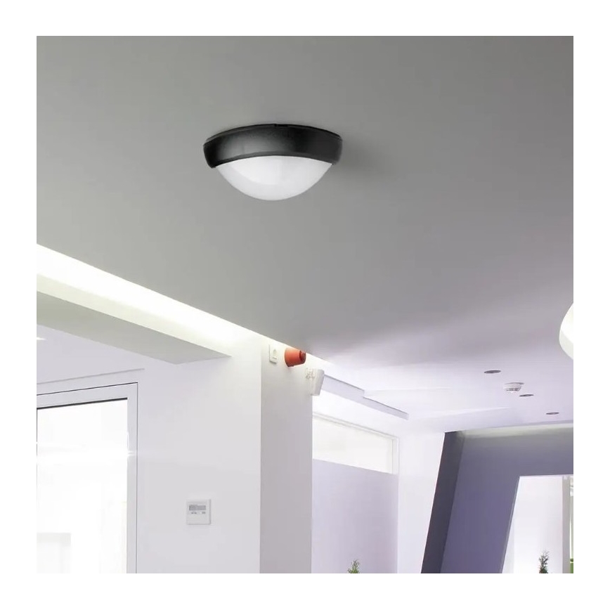 LED Outdoor ceiling light LED/12W/230V IP54