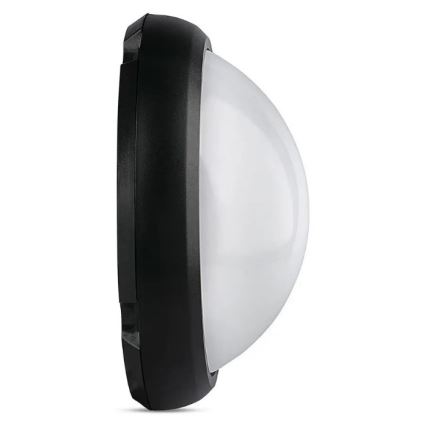 LED Outdoor ceiling light LED/12W/230V IP54
