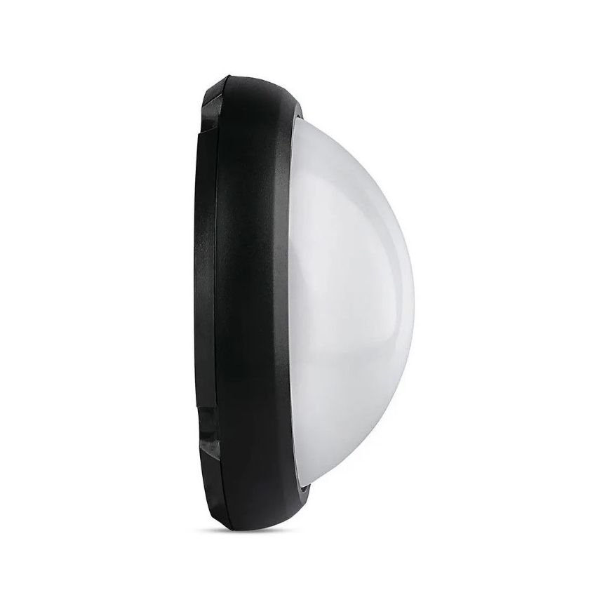 LED Outdoor ceiling light LED/12W/230V IP54