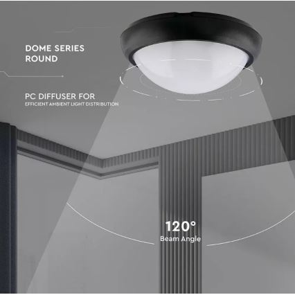 LED Outdoor ceiling light LED/12W/230V IP54