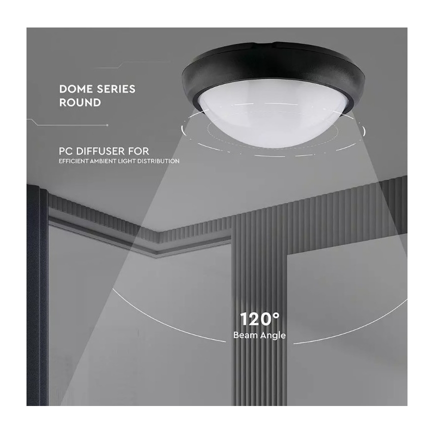 LED Outdoor ceiling light LED/12W/230V IP54