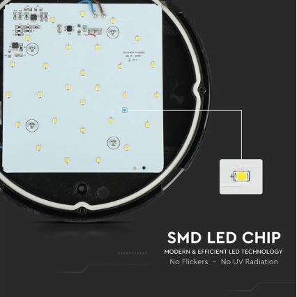 LED Outdoor ceiling light LED/12W/230V IP54