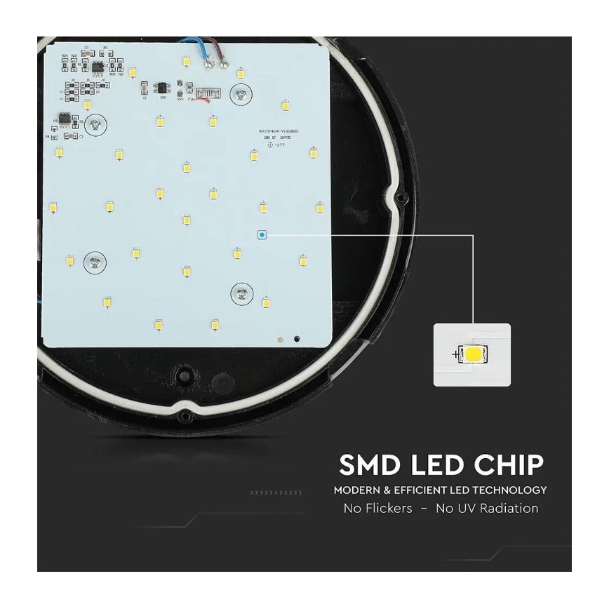 LED Outdoor ceiling light LED/12W/230V IP54