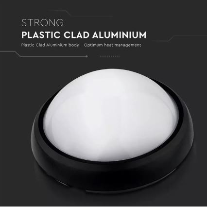 LED Outdoor ceiling light LED/12W/230V IP54