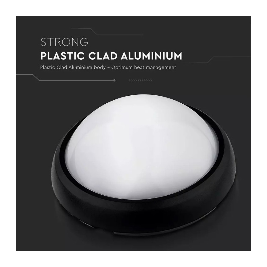LED Outdoor ceiling light LED/12W/230V IP54