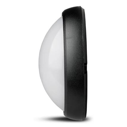 LED Outdoor ceiling light LED/12W/230V IP54