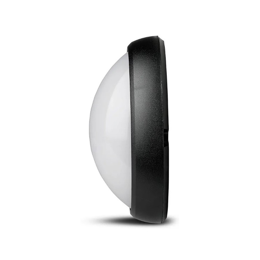 LED Outdoor ceiling light LED/12W/230V IP54