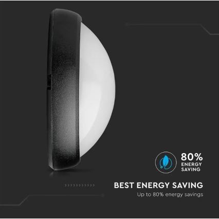 LED Outdoor ceiling light LED/12W/230V IP54