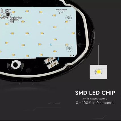 LED Outdoor ceiling light LED/12W/230V IP54