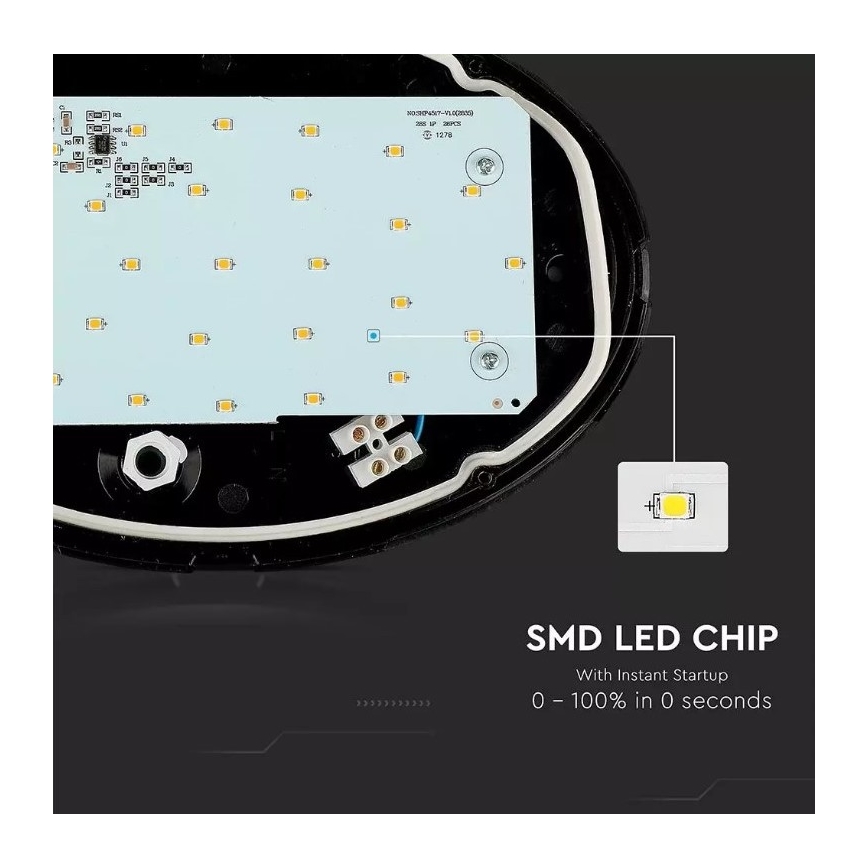 LED Outdoor ceiling light LED/12W/230V IP54
