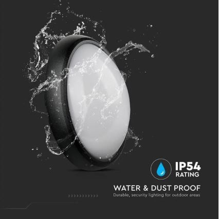 LED Outdoor ceiling light LED/12W/230V IP54