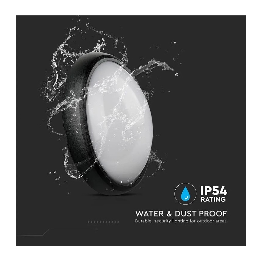 LED Outdoor ceiling light LED/12W/230V IP54