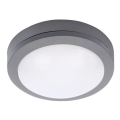 LED Outdoor ceiling light LED/13W/230V IP54 anthracite
