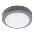 LED Outdoor ceiling light LED/13W/230V IP54 anthracite