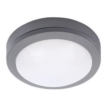 LED Outdoor ceiling light LED/13W/230V IP54 anthracite