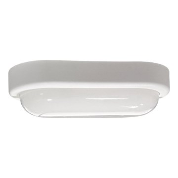 LED Outdoor ceiling light LED/15W/230V 4200K 20x9,8 cm IP64 white