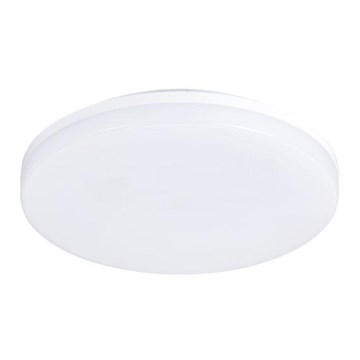 LED Outdoor ceiling light LED/15W/230V IP54