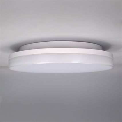 LED Outdoor ceiling light LED/15W/230V IP54