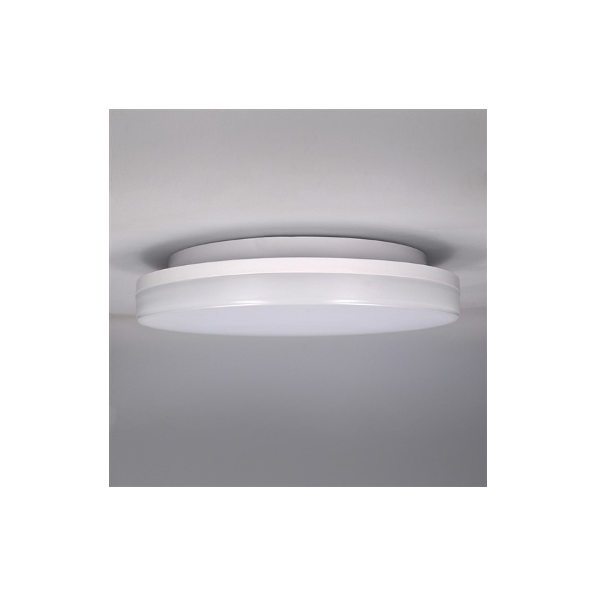 LED Outdoor ceiling light LED/15W/230V IP54