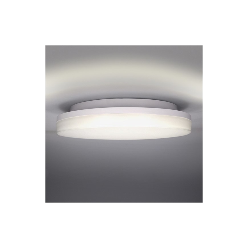 LED Outdoor ceiling light LED/15W/230V IP54