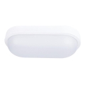 LED Outdoor ceiling light LED/20W/230V IP54