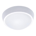 LED Outdoor Ceiling Light LED/30W/230V  IP65