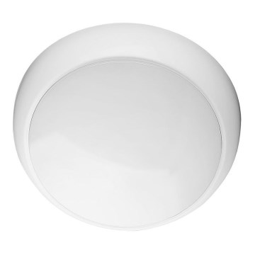 LED Outdoor ceiling light LED/8W/16W/20W/230V IP65 3000/4000/6500K