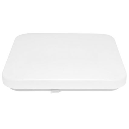 LED Outdoor ceiling light LUKA LED/42W/230V IP44