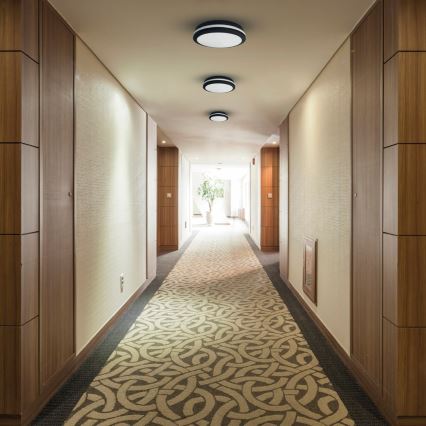 LED Outdoor ceiling light MARLON LED/48W/230V 4000K IP54 black