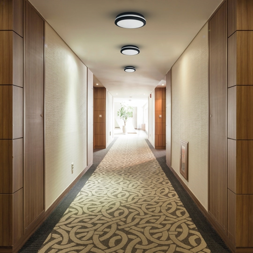 LED Outdoor ceiling light MARLON LED/48W/230V 4000K IP54 black