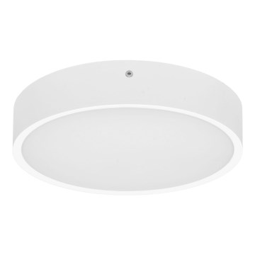 LED Outdoor ceiling light MARTIN LED/15W/230V 3000/4000K d. 30 cm IP65 white