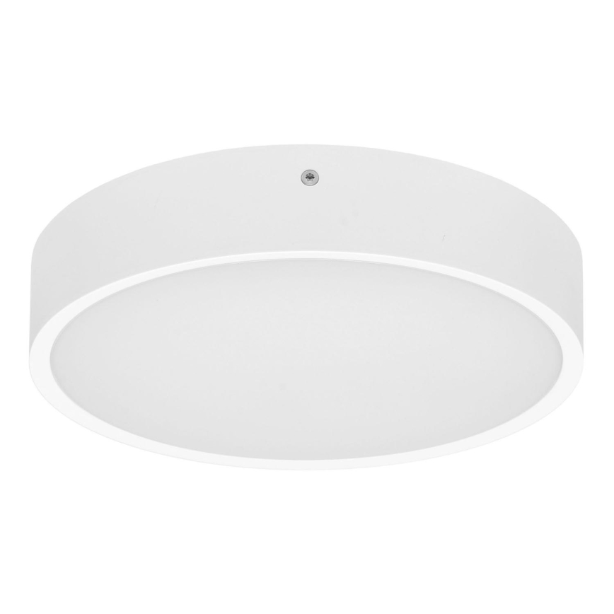 LED Outdoor ceiling light MARTIN LED/25W/230V 3000/4000K d. 35 cm IP65 white