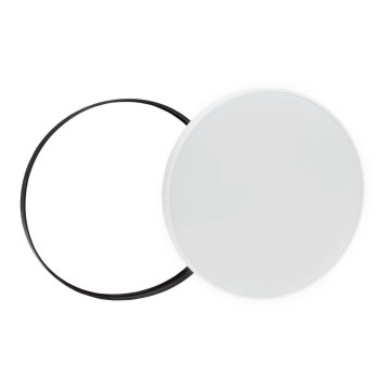 LED Outdoor ceiling light NYMPHEA LED/24W/230V IP54 6000K