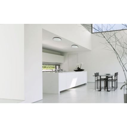 LED Outdoor ceiling light NYMPHEA LED/32W/230V IP54 3000K
