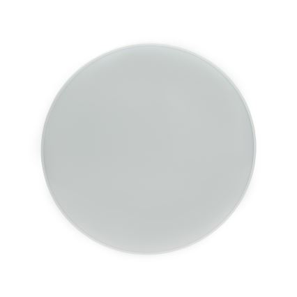 LED Outdoor ceiling light NYMPHEA LED/32W/230V IP54 3000K