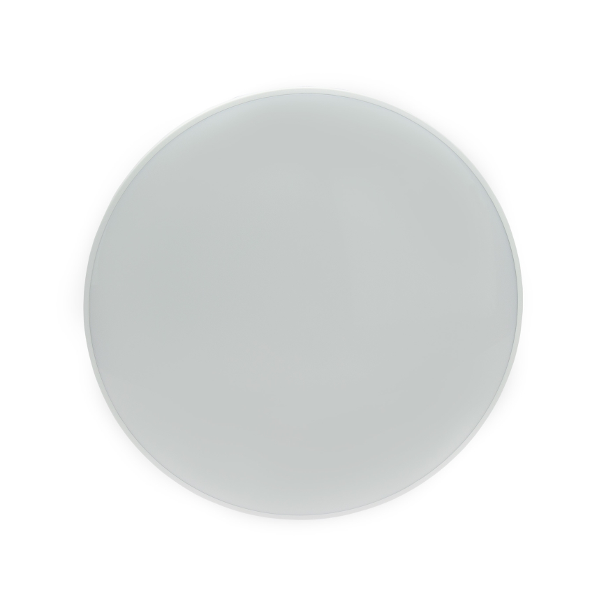 LED Outdoor ceiling light NYMPHEA LED/32W/230V IP54 3000K