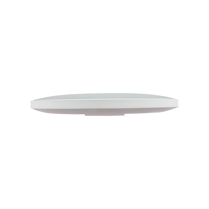 LED Outdoor ceiling light NYMPHEA LED/32W/230V IP54 3000K