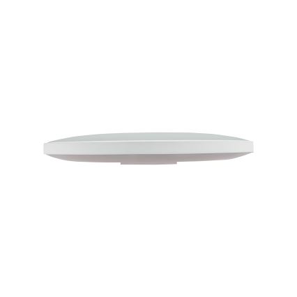 LED Outdoor ceiling light NYMPHEA LED/32W/230V IP54 4000K