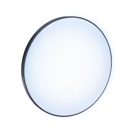 LED Outdoor ceiling light NYMPHEA LED/32W/230V IP54 6000K