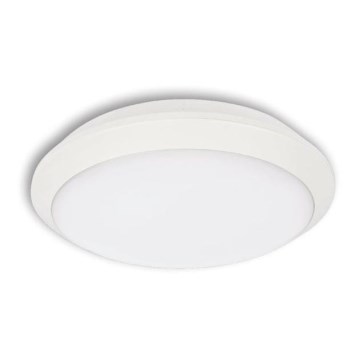 LED Outdoor ceiling light TIPO LED/18W/230V IP66