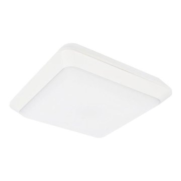 LED Outdoor ceiling light TIPO LED/24W/230V IP66