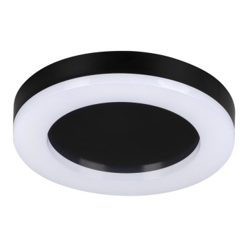 LED Outdoor ceiling light TURA LED/24W/230V 4000K IP54 black