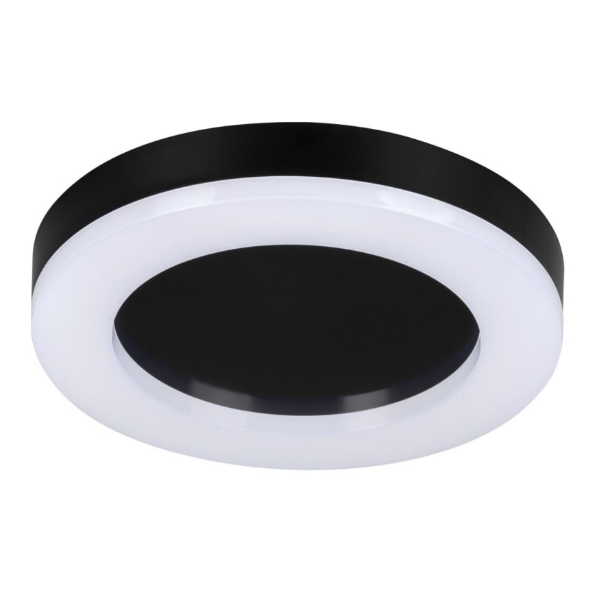 LED Outdoor ceiling light TURA LED/24W/230V 4000K IP54 black