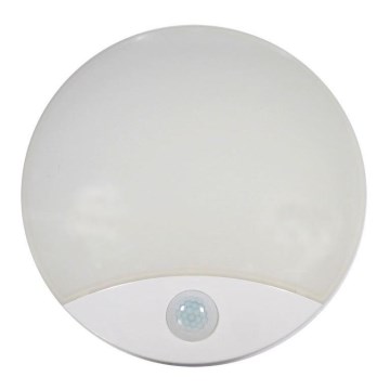 LED Outdoor ceiling light with a sensor LED/15W/230V IP44