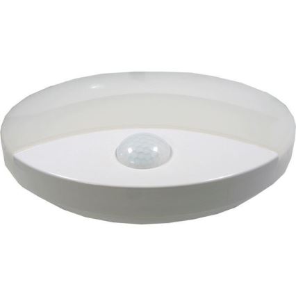 LED Outdoor ceiling light with a sensor LED/15W/230V IP44