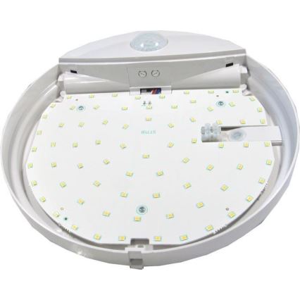 LED Outdoor ceiling light with a sensor LED/15W/230V IP44