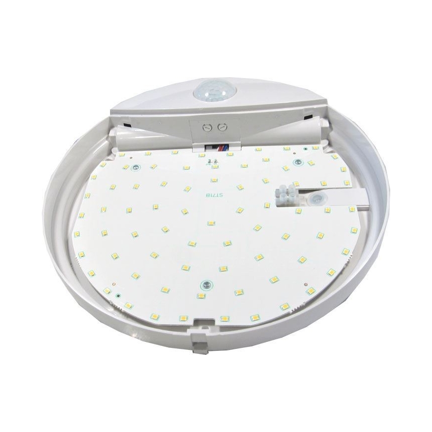 LED Outdoor ceiling light with a sensor LED/15W/230V IP44